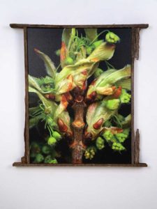 Leaves After Magritte (framed)