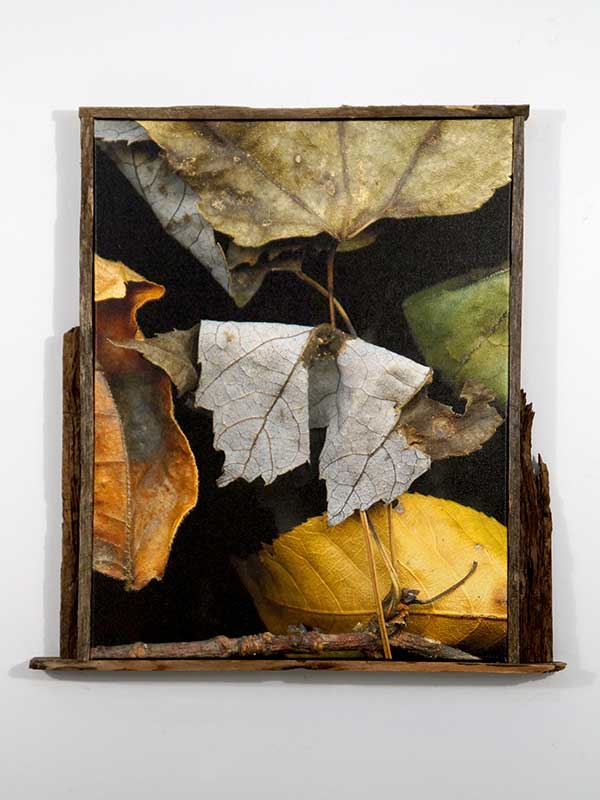 Leaves after Oleszko framed