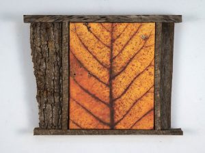 Leaf After Rouault Framed